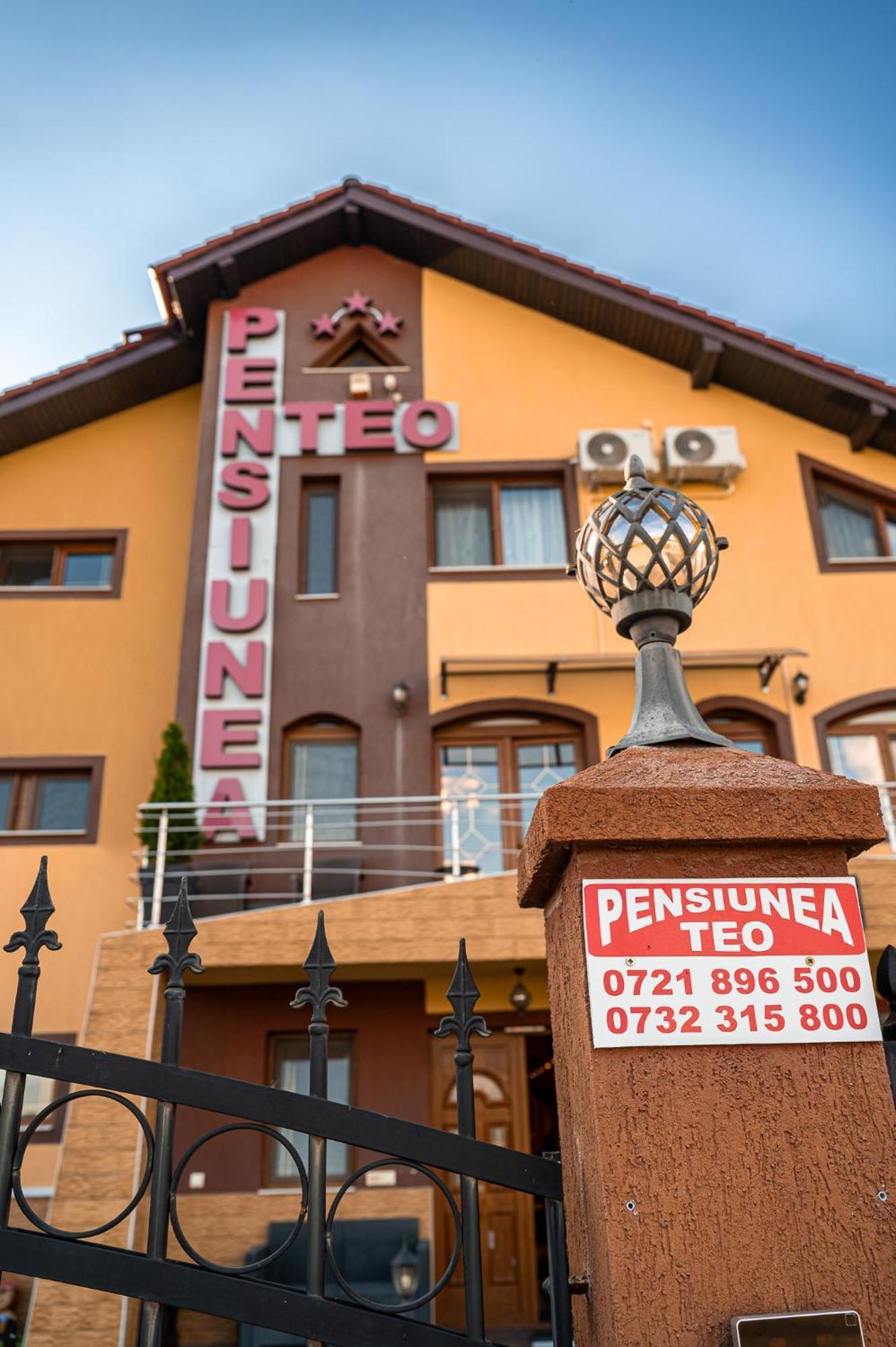 Pensiunea Teo Caransebeş エクステリア 写真